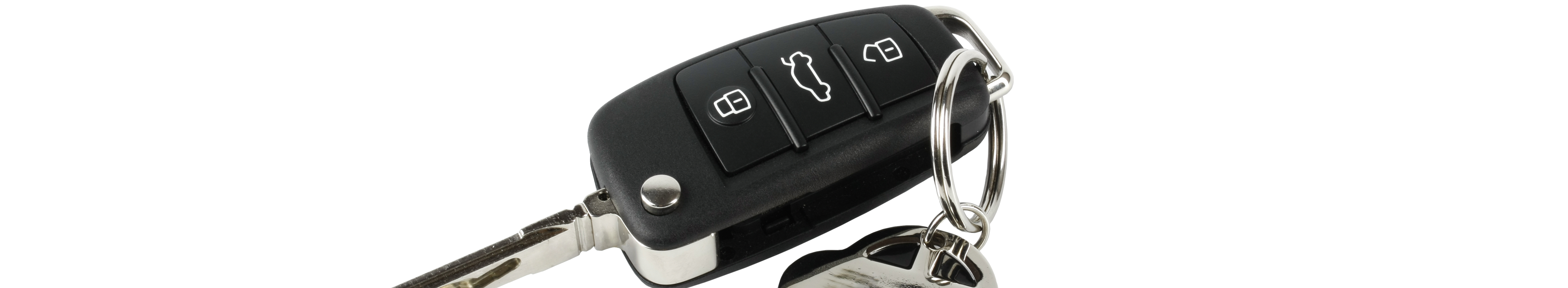 Car Dealerships Brunswick Ga >> Alpha Motors Car Dealer In Brunswick Ga Car Dealerships Brunswick Ga >> Alpha Motors Car Dealer In Brunswick Ga