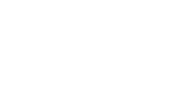 Freedom Motors LLC
