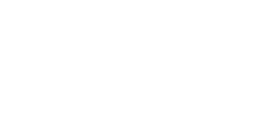 Danari Fanno Danari