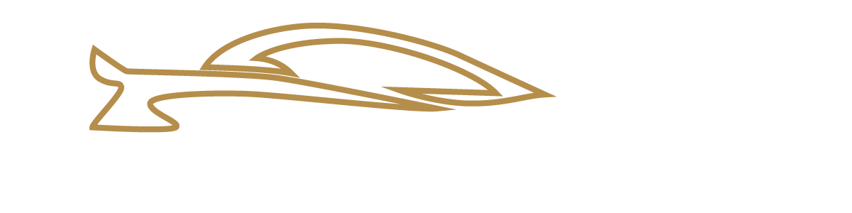 Joe's Automobile