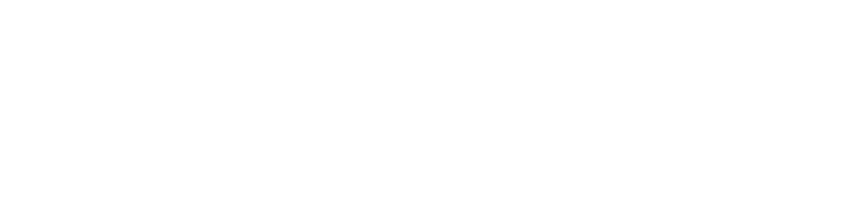 Maximum Auto Group II INC