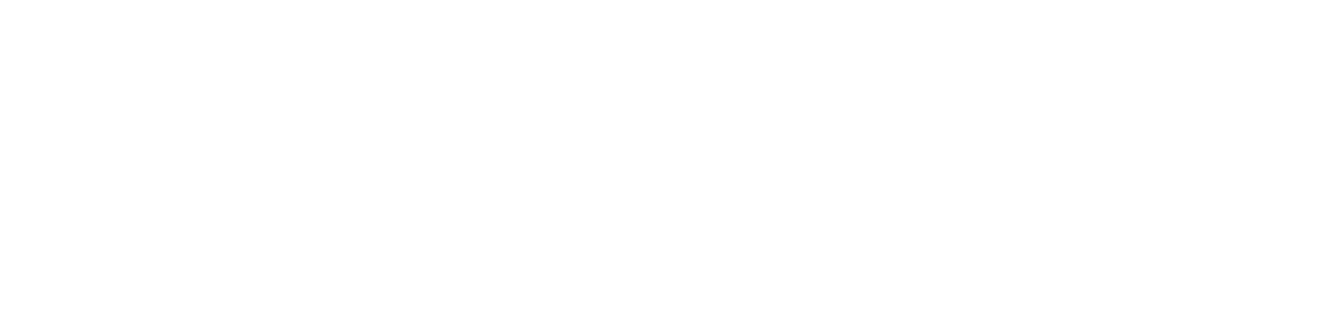 southern auto credit