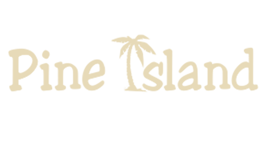 Pine Island Auto Sales