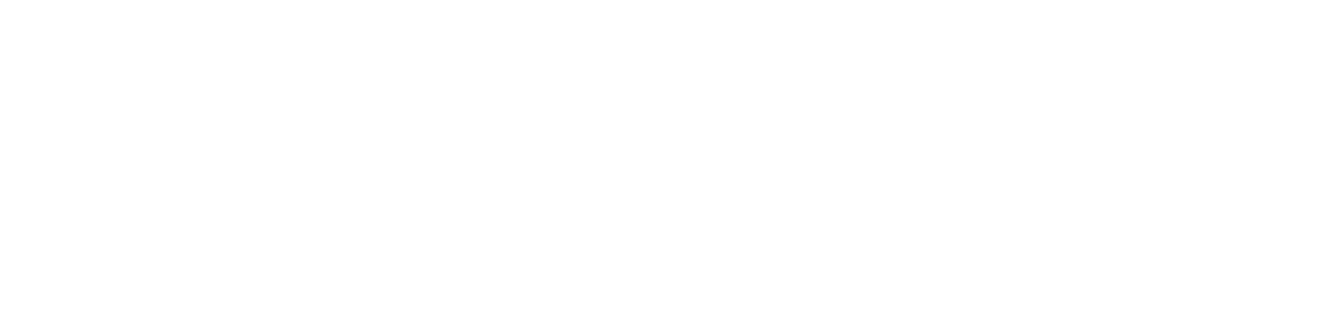 MS Motors
