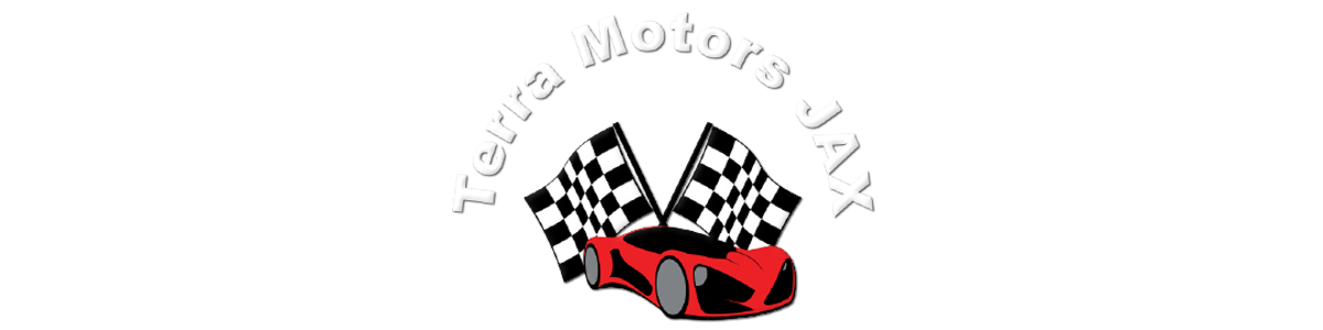 Terra Motors LLC
