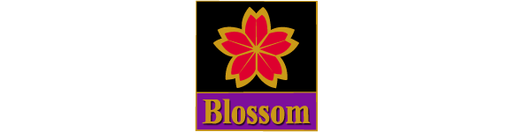 Blossom Car Center