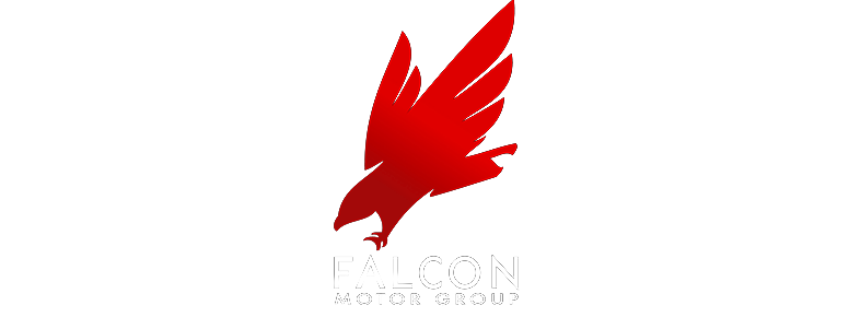 FALCON MOTOR GROUP