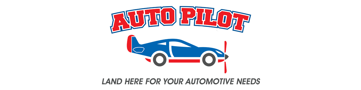 AUTO PILOT LLC