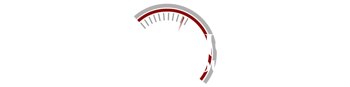 Paisano Auto Group LLC