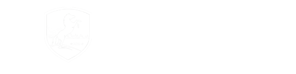 Boise Auto Group