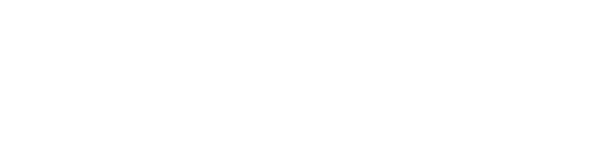 D&M AUTO SALES