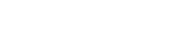 Rico Auto Center USA