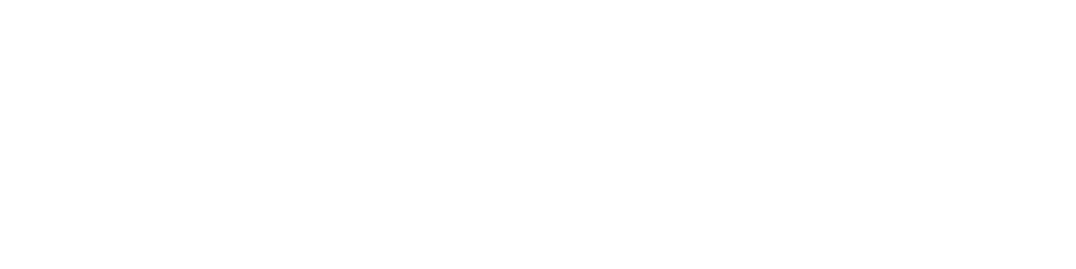 ENTHUSIAST MOTORS LLC