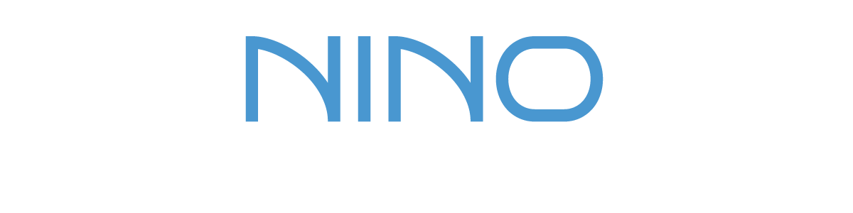 NINO AUTO SALES INC