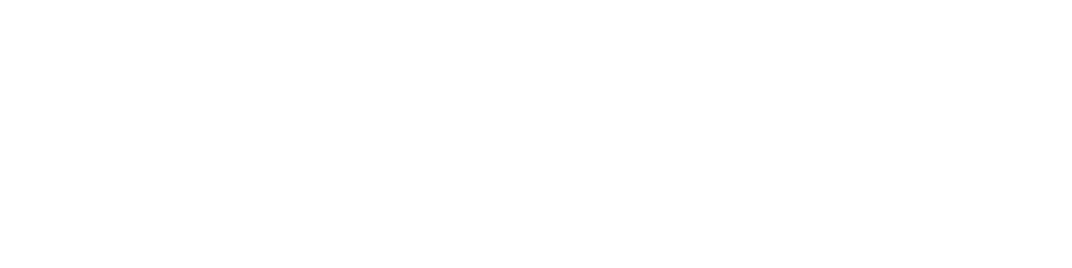 Elite Auto Sports LLC