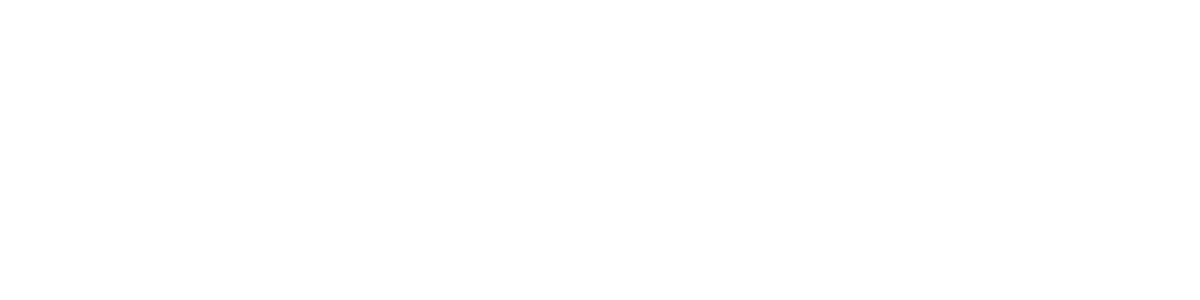 Exquisite Auto Collection LLC