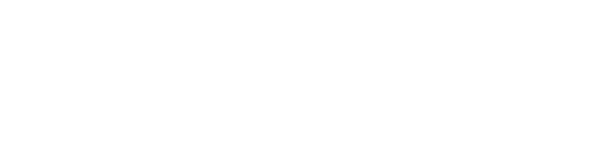 Mobility Motors LLC
