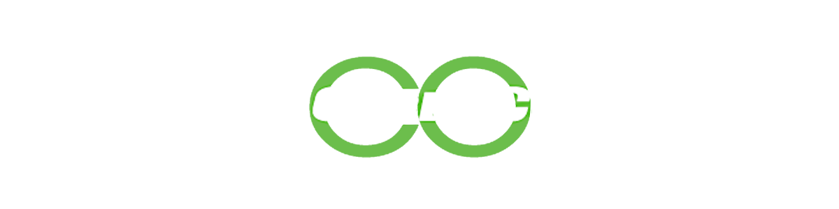 THE CYCLE CO