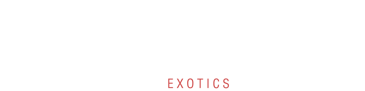 AutoCar Exotics