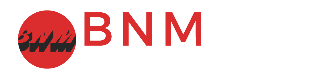 BNM AUTO GROUP LLC
