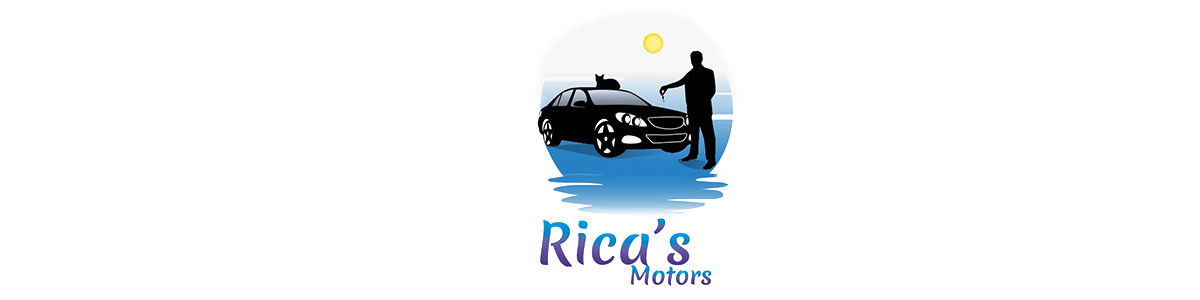 RICA'S MOTORS LLC