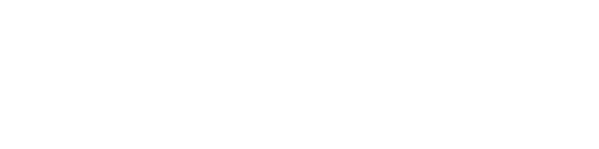 ICars Inc
