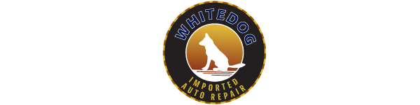 Whitedog Imported Auto Sales