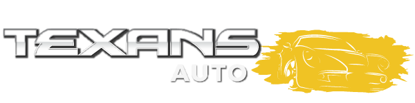 TEXANS AUTONATION INC