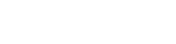 Page Auto Inc