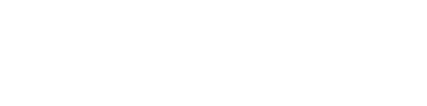 Singh Auto Group