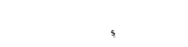 D&S Automotive Group, LLC