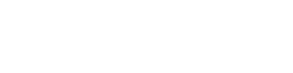 Loyola Automotive Group Inc