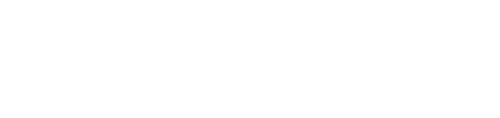 RJ AUTO OF FARMINGTON HILLS