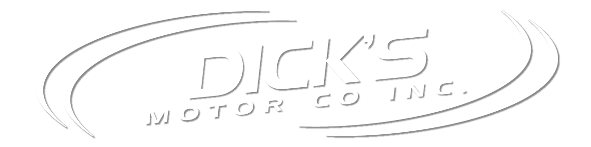 DICK'S MOTOR CO INC
