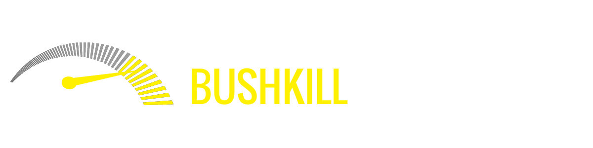 BUSHKILL AUTO SALES LLC