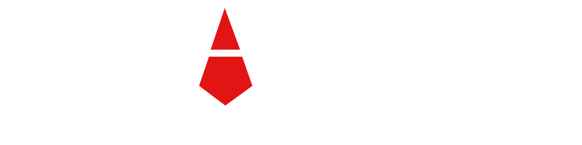 All American Motors