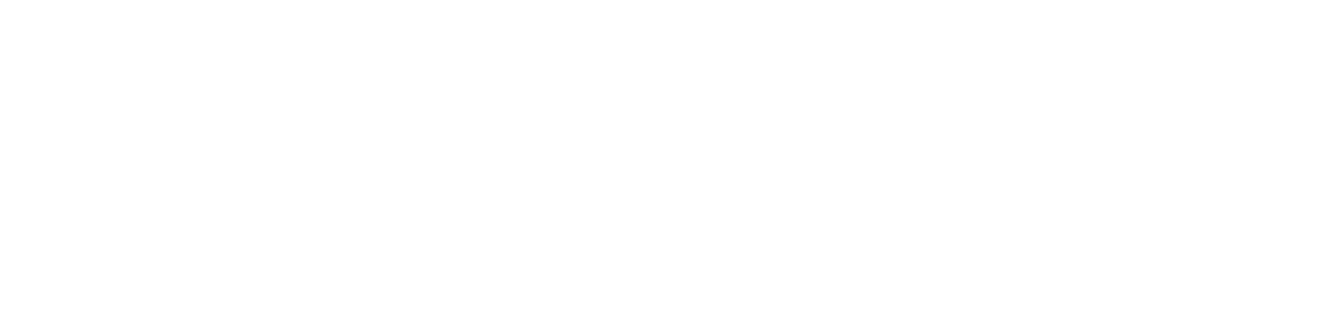 Southern Automotive Group Inc