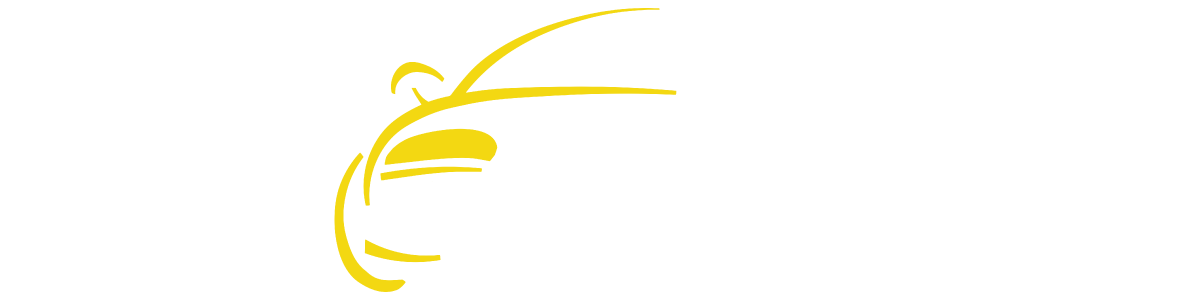 HORIZON AUTO GROUP INC
