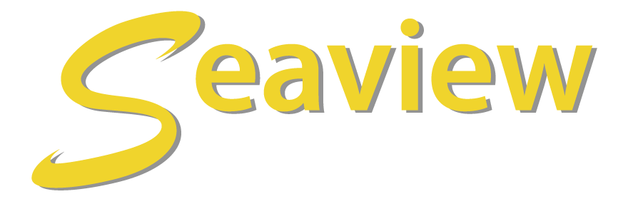 Seaview Motors Inc