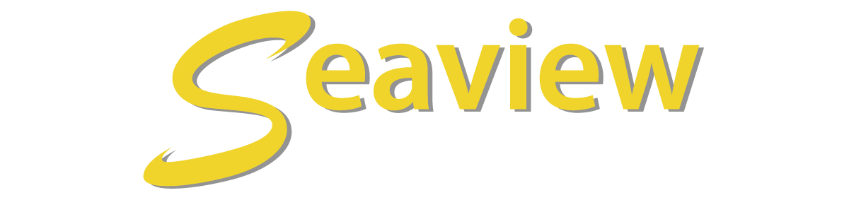 Seaview Motors Inc