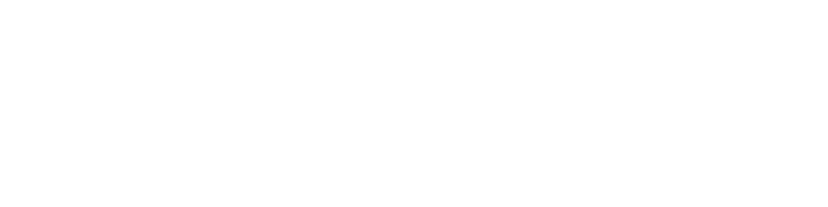 S & T Motors
